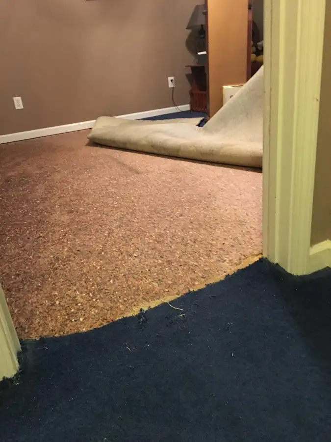 Carpet pad removal revealing water damage during Water Mitigation Services in Lovejoy