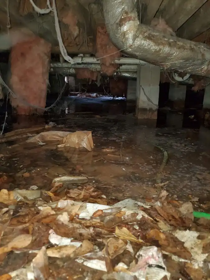 Crawl space flood assessment for Leak Detection & Repair in Lovejoy
